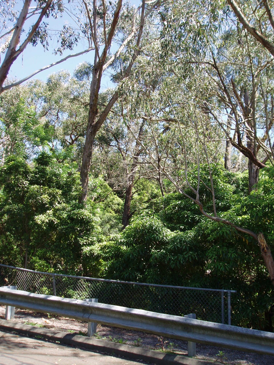 birts-hill-res.jpg