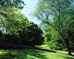clip_image001