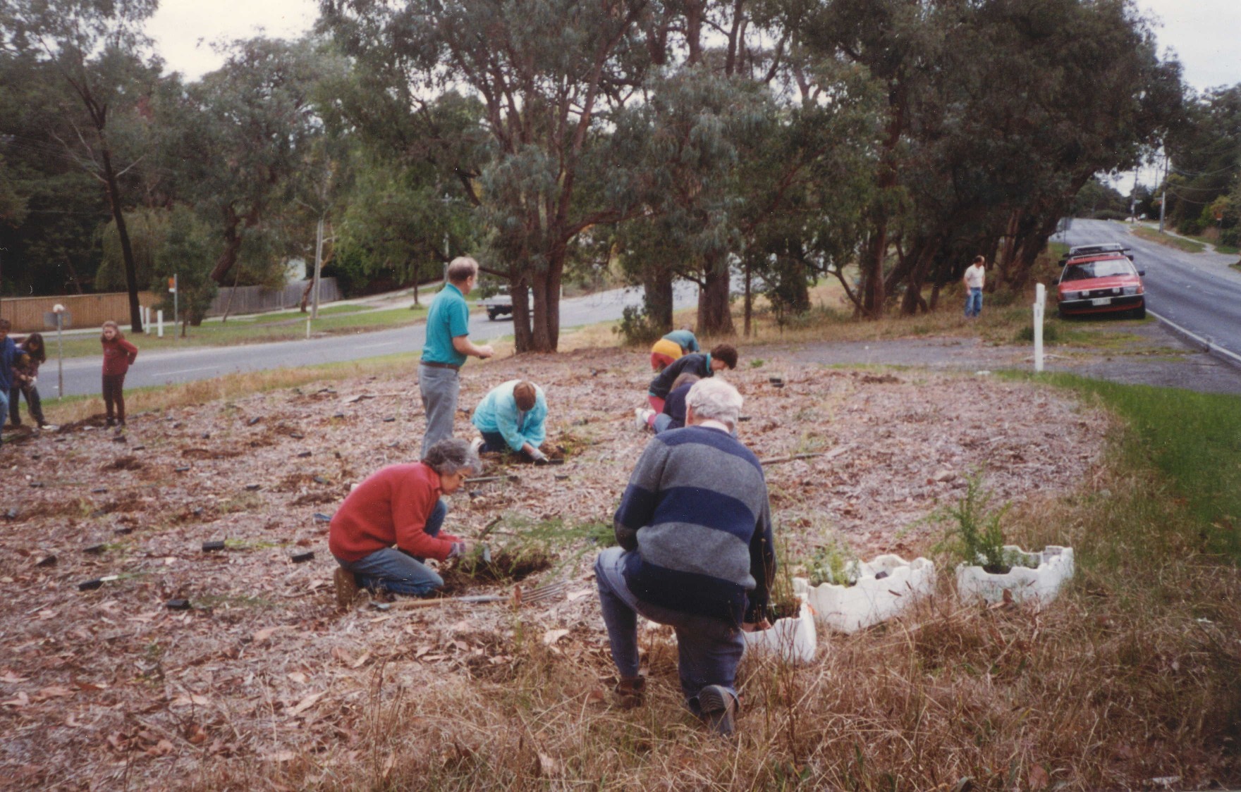 mt-dandenong-rd-planting.jpg