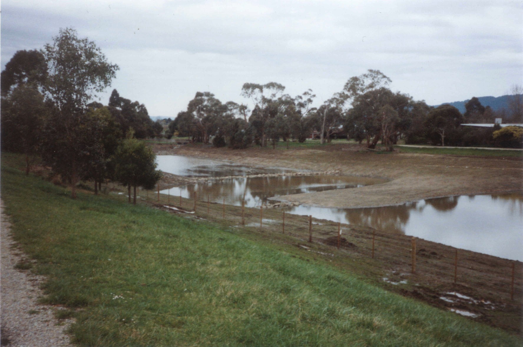 resized-wetlands-the-ponds-fill-without-plants-as-yet.jpg